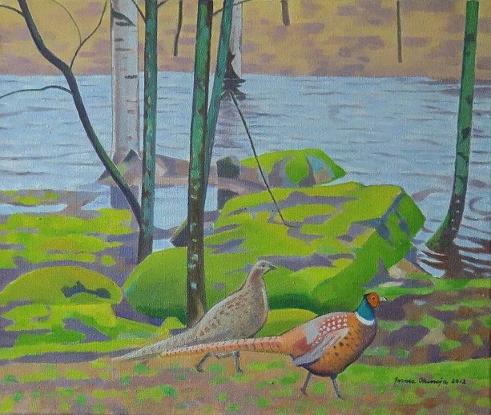 2fasaanit.JPG - Fasaanit 42x50, 2012