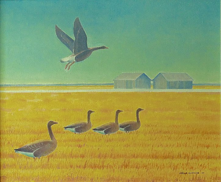 3linnut.JPG - Hanhien syysmuutto 46x55, 2010