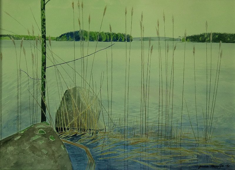 5Rantaheinat.JPG - Rantaheinät 51x71, 1992