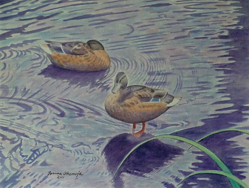 9sorsapari.JPG - Sorsapari 22x30, 2011